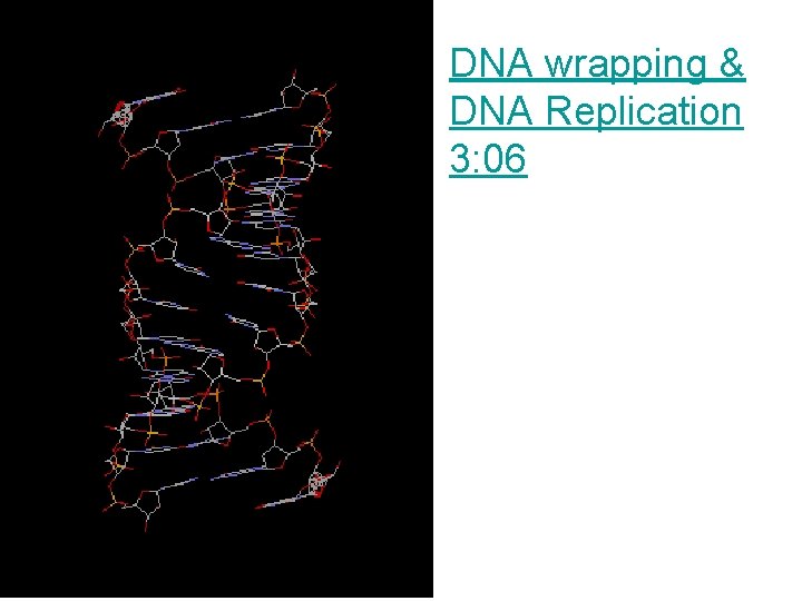 DNA wrapping & DNA Replication 3: 06 