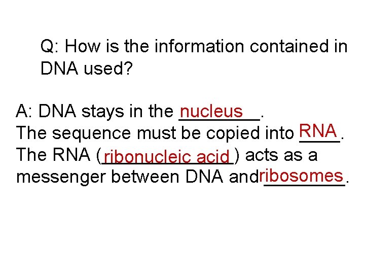  Q: How is the information contained in DNA used? A: DNA stays in