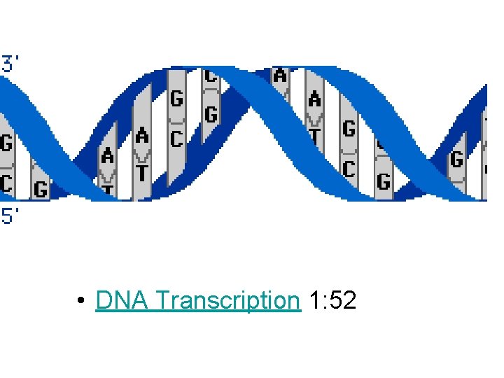  • DNA Transcription 1: 52 