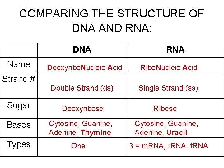 COMPARING THE STRUCTURE OF DNA AND RNA: DNA Name Deoxyribo. Nucleic Acid RNA Ribo.