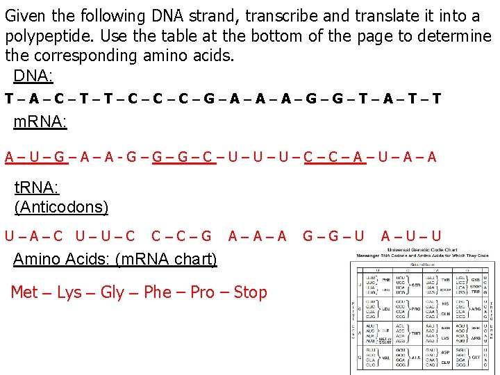 Given the following DNA strand, transcribe and translate it into a polypeptide. Use the