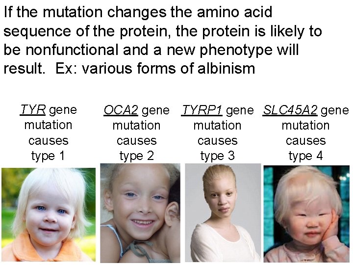 If the mutation changes the amino acid sequence of the protein, the protein is