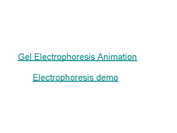 Gel Electrophoresis Animation Electrophoresis demo 