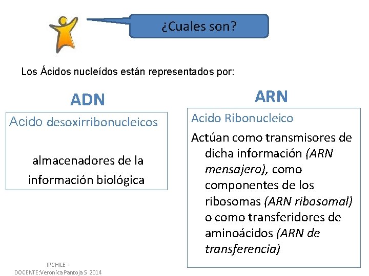 ¿Cuales son? Los Ácidos nucleídos están representados por: ADN Acido desoxirribonucleicos almacenadores de la