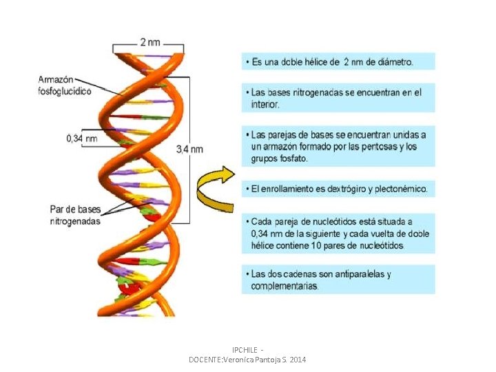 IPCHILE - DOCENTE: Veronica Pantoja S. 2014 