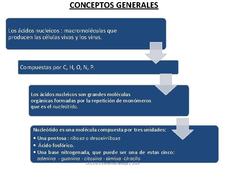 CONCEPTOS GENERALES Los ácidos nucleicos : macromoléculas que producen las células vivas y los