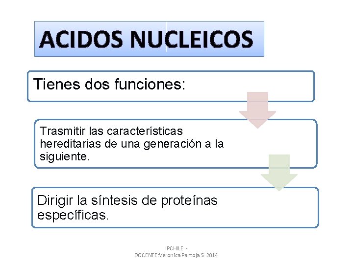 ACIDOS NUCLEICOS Tienes dos funciones: Trasmitir las características hereditarias de una generación a la