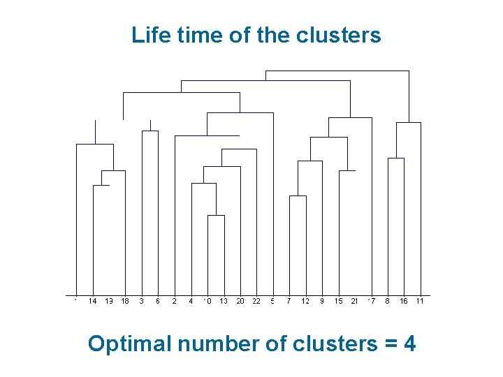 Life time of the clusters Optimal number of clusters = 4 