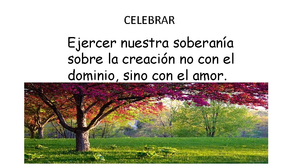 CELEBRAR Ejercer nuestra soberanía sobre la creación no con el dominio, sino con el