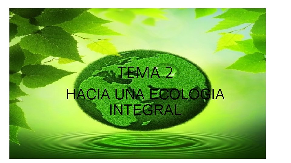 TEMA 2 HACIA UNA ECOLOGIA INTEGRAL 