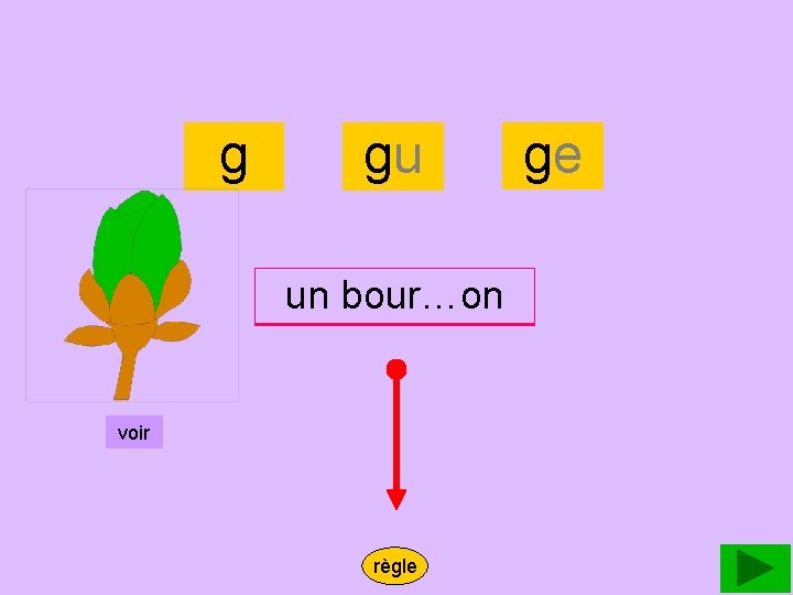 bourgeon g gu un un bourgeon bour…on voir règle ge 