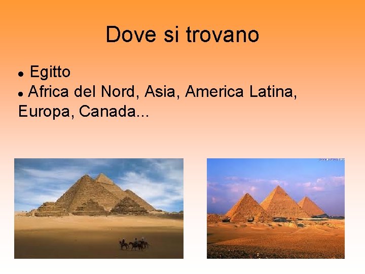 Dove si trovano Egitto Africa del Nord, Asia, America Latina, Europa, Canada. . .