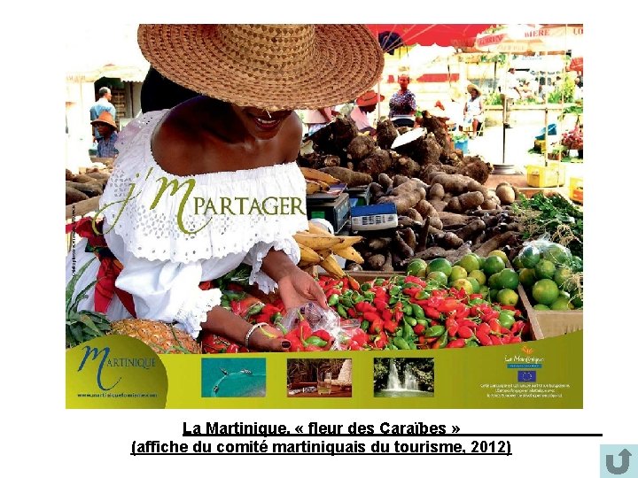 La Martinique, « fleur des Caraïbes » (affiche du comité martiniquais du tourisme, 2012) La Martinique, « fleur des Caraïbes » (affiche du comité martiniquais du tourisme, 2012)