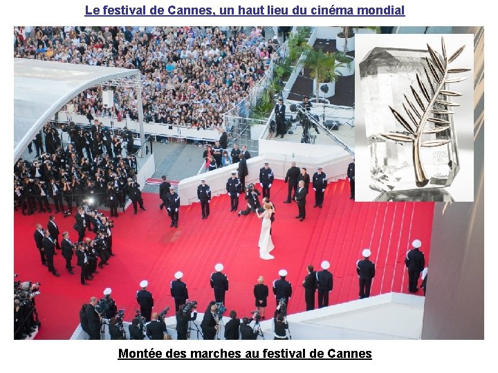 Le festival de Cannes, un haut lieu du cinéma mondial Montée des marches au Le festival de Cannes, un haut lieu du cinéma mondial Montée des marches au