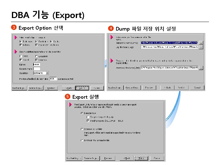 DBA 기능 (Export) 3 Export Option 선택 4 5 Export 실행 Dump 파일 저장