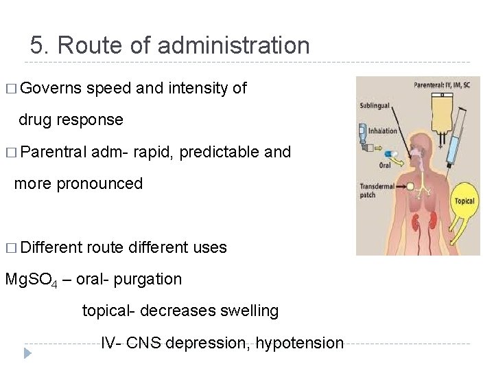 5. Route of administration � Governs speed and intensity of drug response � Parentral