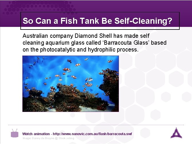 So Can a Fish Tank Be Self-Cleaning? Australian company Diamond Shell has made self