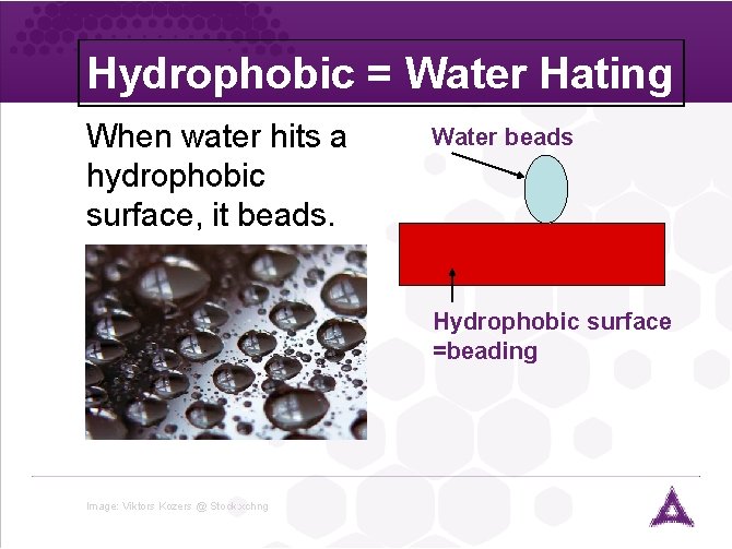 Hydrophobic = Water Hating When water hits a hydrophobic surface, it beads. Water beads