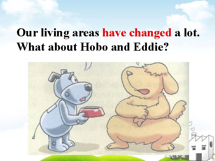 Our living areas have changed a lot. What about Hobo and Eddie? 