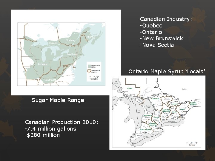 Canadian Industry: • Quebec • Ontario • New Brunswick • Nova Scotia Ontario Maple
