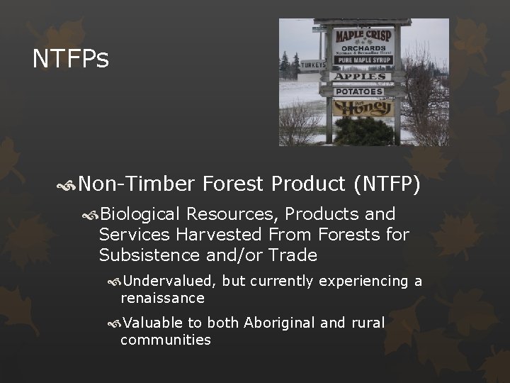 NTFPs Non-Timber Forest Product (NTFP) Biological Resources, Products and Services Harvested From Forests for