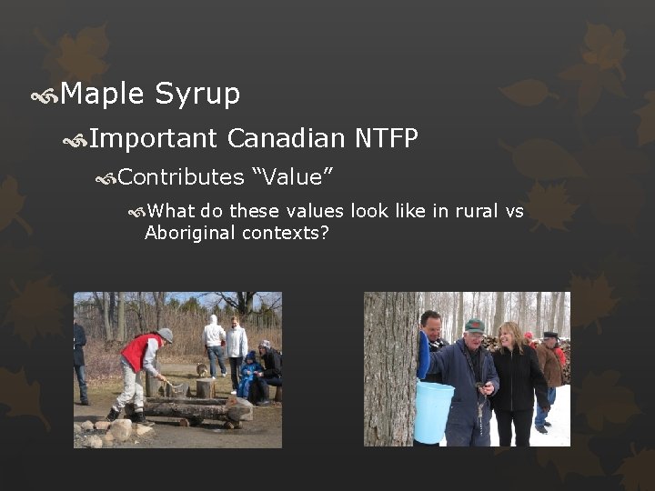  Maple Syrup Important Canadian NTFP Contributes “Value” What do these values look like