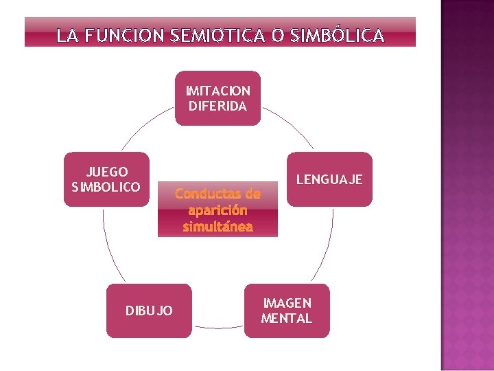 LA FUNCION SEMIOTICA O SIMBÓLICA IMITACION DIFERIDA JUEGO SIMBOLICO DIBUJO Conductas de aparición simultánea