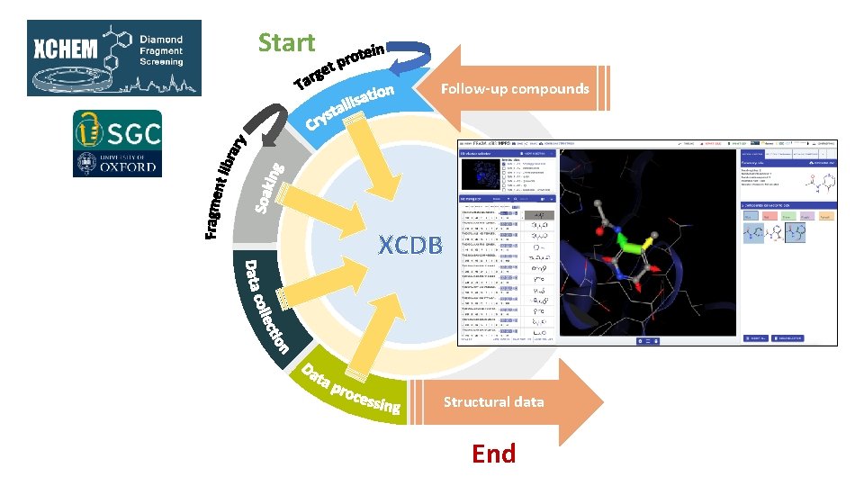 Start Follow-up compounds XCDB Structural data End Start Follow-up compounds XCDB Structural data End