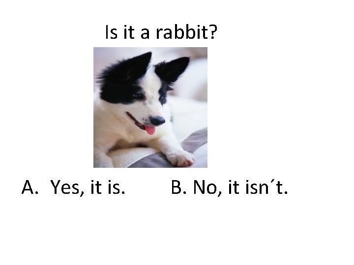 Is it a rabbit? A. Yes, it is. B. No, it isn´t. 