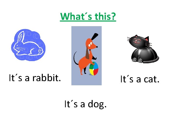 What´s this? It´s a rabbit. It´s a cat. It´s a dog. 