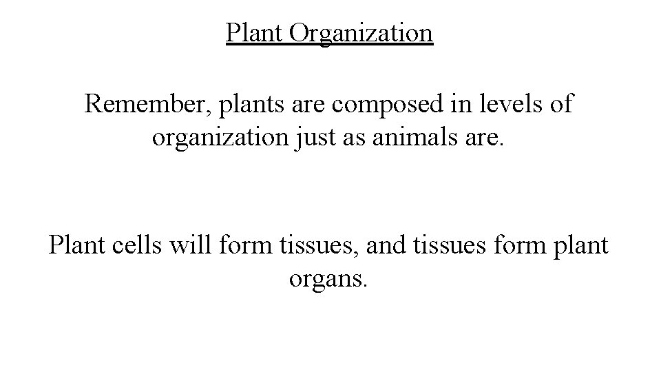 Plant Organization Remember, plants are composed in levels of organization just as animals are. Plant Organization Remember, plants are composed in levels of organization just as animals are.