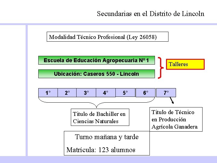 Secundarias en el Distrito de Lincoln Modalidad Técnico Profesional (Ley 26058) Escuela de Educación
