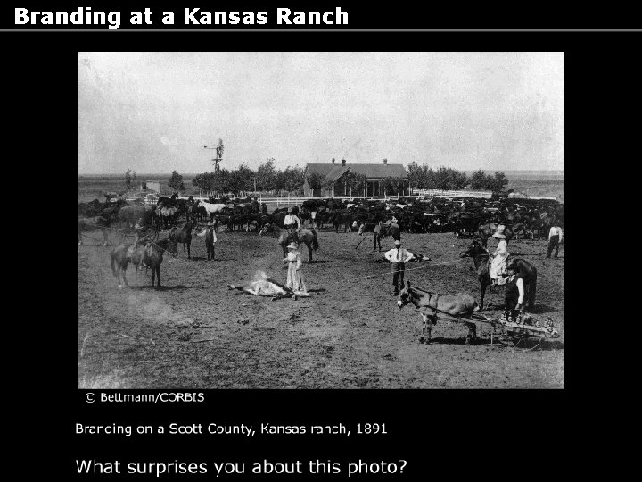 Branding at a Kansas Ranch 