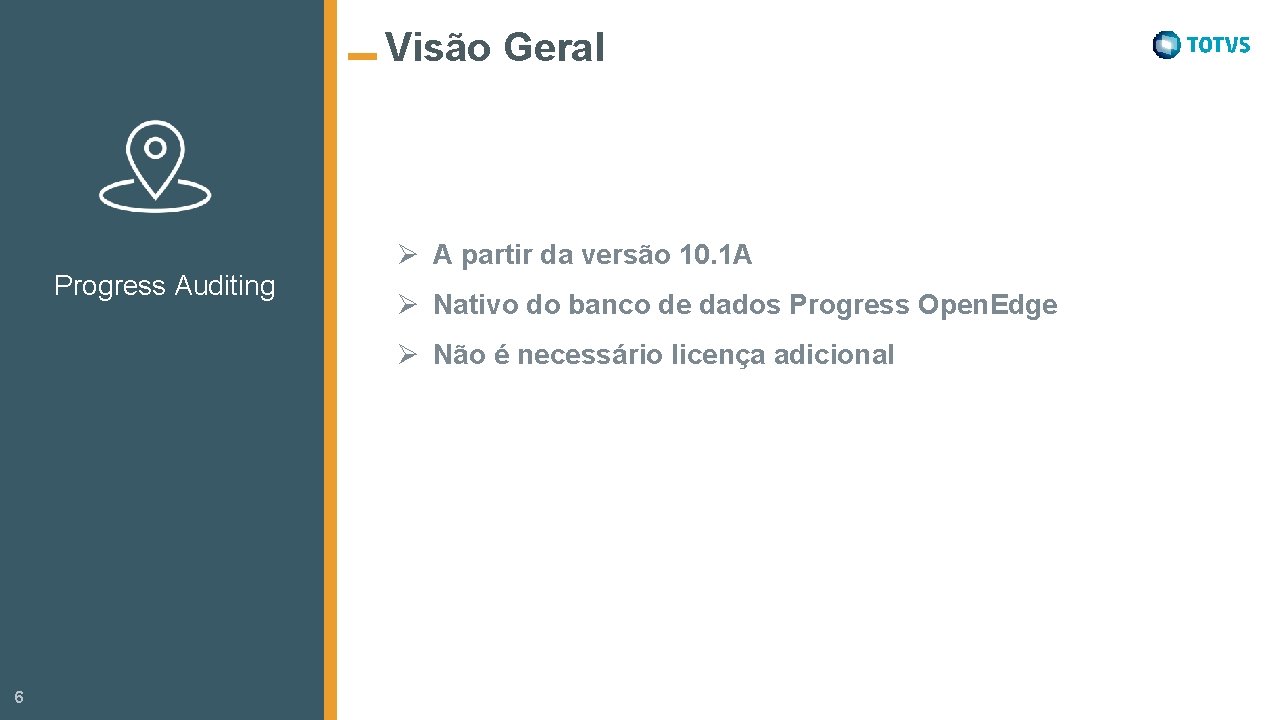 Visão Geral Ø A partir da versão 10. 1 A Progress Auditing Ø Nativo