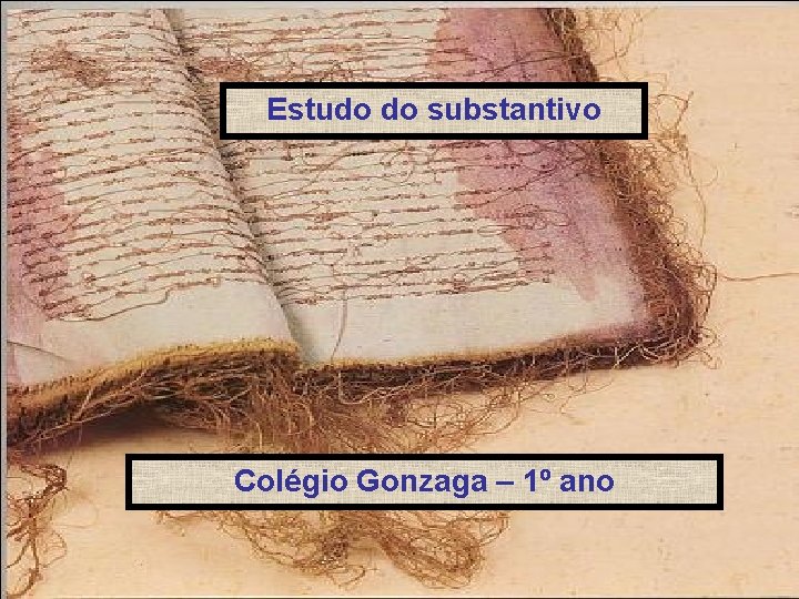 Estudo do substantivo Colégio Gonzaga – 1º ano 