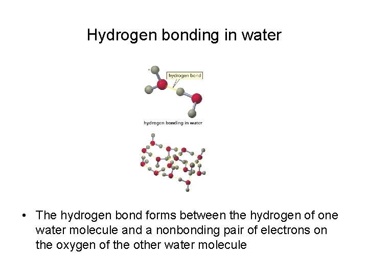 Hydrogen bonding in water • The hydrogen bond forms between the hydrogen of one