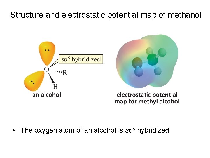 Structure and electrostatic potential map of methanol • The oxygen atom of an alcohol