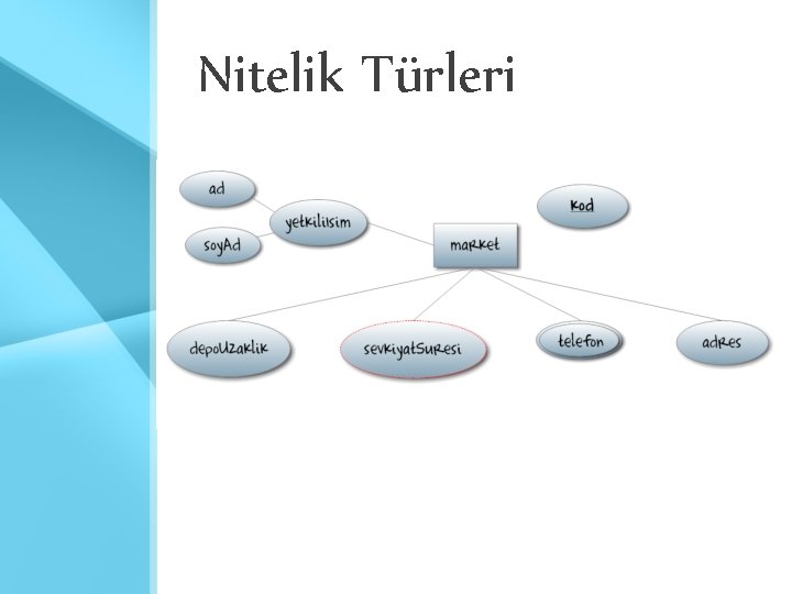 Nitelik Türleri 