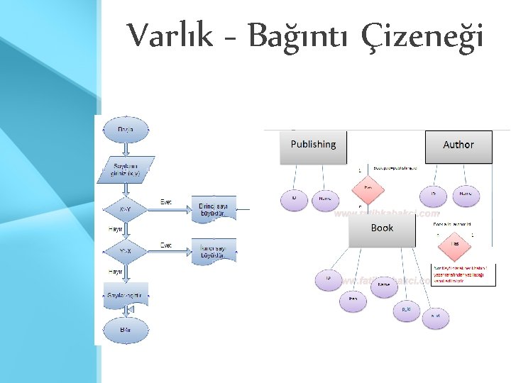 Varlık - Bağıntı Çizeneği 