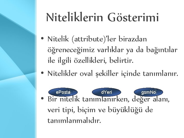 Niteliklerin Gösterimi • Nitelik (attribute)’ler birazdan öğreneceğimiz varlıklar ya da bağıntılar ile ilgili özellikleri,