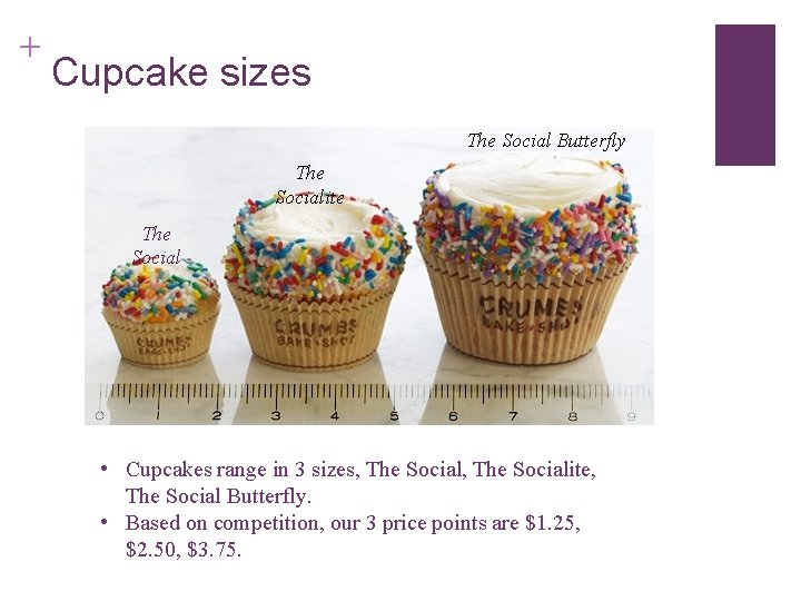 + Cupcake sizes The Social Butterfly The Socialite The Social • Cupcakes range in + Cupcake sizes The Social Butterfly The Socialite The Social • Cupcakes range in
