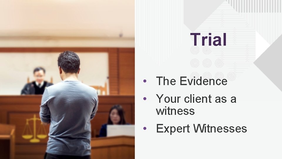 Trial • The Evidence • Your client as a witness • Expert Witnesses 