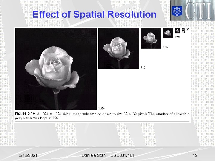 Effect of Spatial Resolution 3/10/2021 Daniela Stan - CSC 381/481 12 
