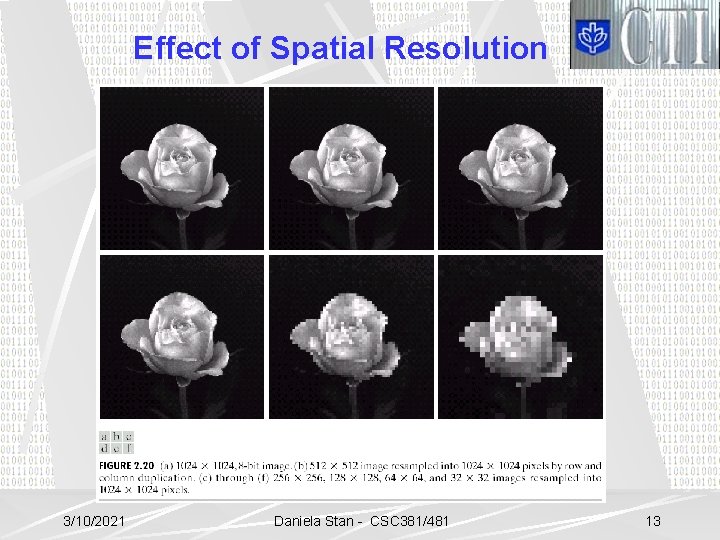 Effect of Spatial Resolution 3/10/2021 Daniela Stan - CSC 381/481 13 