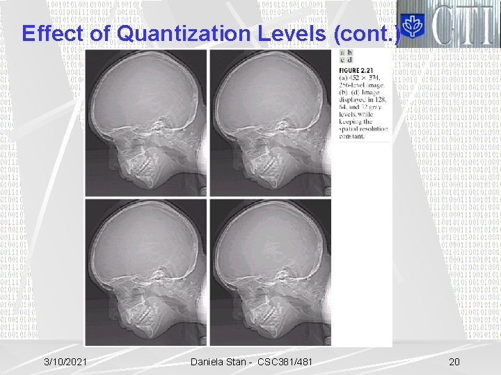 Effect of Quantization Levels (cont. ) 3/10/2021 Daniela Stan - CSC 381/481 20 