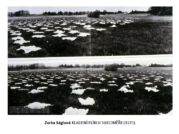 Zorka Ságlová KLADENÍ PLÍN U SUDOMĚŘE (1970) 