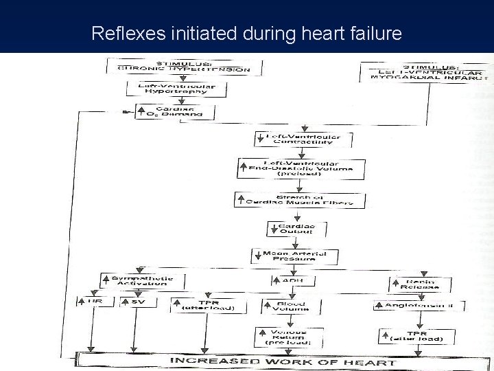 Reflexes initiated during heart failure 