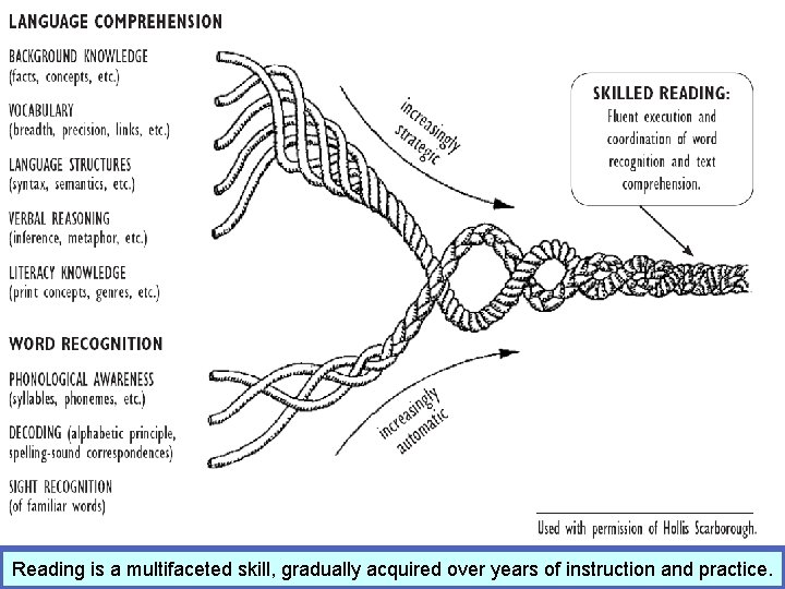 Reading is a multifaceted skill, gradually acquired over years of instruction and practice. Reading is a multifaceted skill, gradually acquired over years of instruction and practice.