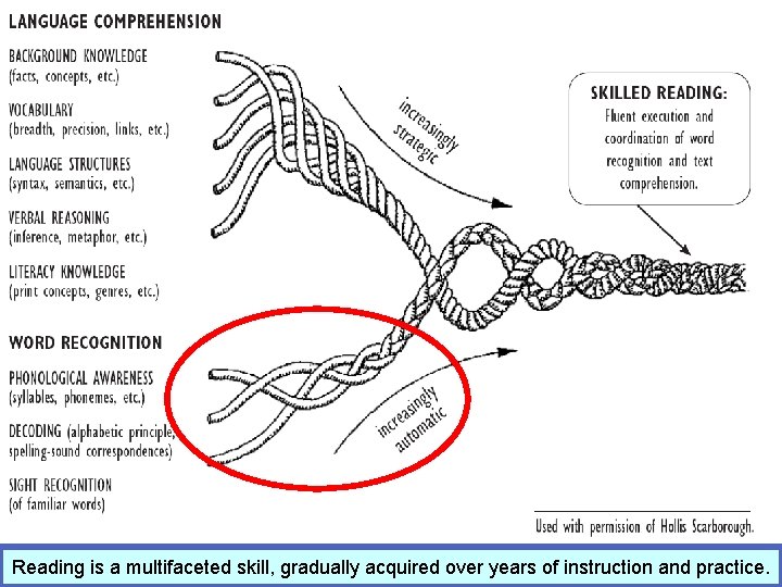 Reading is a multifaceted skill, gradually acquired over years of instruction and practice. 
