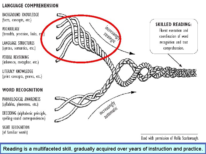 Reading is a multifaceted skill, gradually acquired over years of instruction and practice. 